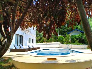 Luxury Villa with Pool in Tropical Garden