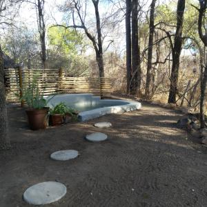 Off Beat Safaris Bush Lodge