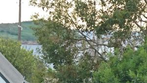 TY SAM - 2 Appartements dont 1 Grande Terrasse vue mer proche plages et commerces : photos des chambres