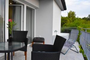 Apartma med oljkami - Portorož