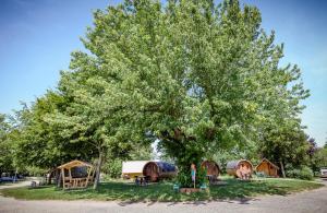 Lodges Camping de Tournus - Drole de cabane : photos des chambres