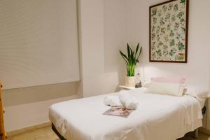 Córdoba COol en Pleno Centro de Córdoba