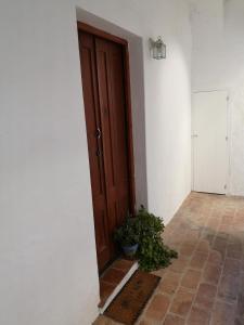 acogedor estudio en casco antiguo