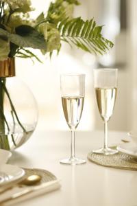 Deluxe apt with 2 bedrooms and AC