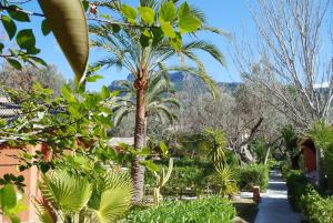 Soller Garden