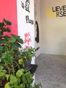 Guest house Romanadze