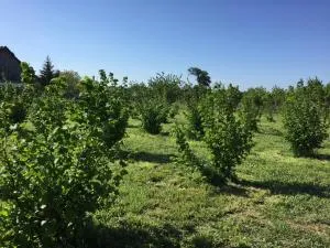 Villa Dolne Saliby - Trstice