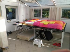 Greenhouse just 15 min from the Old Town