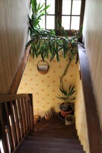 Maisons de vacances chez Jeannette : photos des chambres