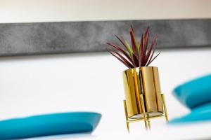 Royal flats Old Town