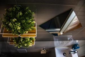 Royal flats Old Town