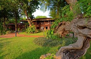 Bagan Archaeological Zon, Bagan Nyaung Oo، 11182, Myanmar (Burma).