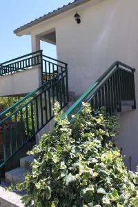 Apartments with a parking space Makarska 6791