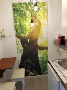 Casa Amira - Locarno