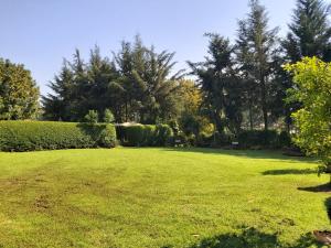 Sahara Gardens-Kericho