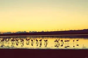 Salt Lake Town House - Ayia Anna