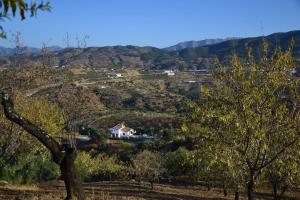 Ferienhaus The African House Tolox Spanien