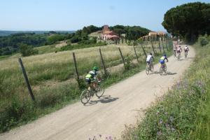 Residence Borgo Felciaione img27