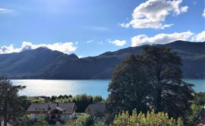 Appartements Appartement T2, vue lac, climatise, parking, tout confort : Appartement 1 Chambre