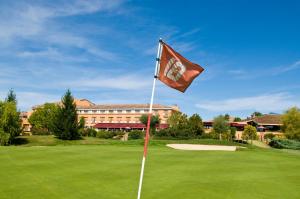 Hotels Mercure Toulouse Aeroport Golf de Seilh : photos des chambres