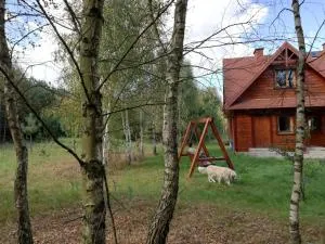 Wsród Pól i Lasów - 哈伊努夫卡