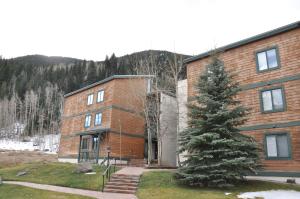Cute 2 Bedroom East Vail Condo #1202 with Shuttle
