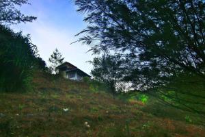 Fam Sugiono Cottage - Studio House