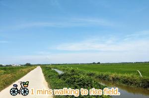 Saclo Villa and Hostel