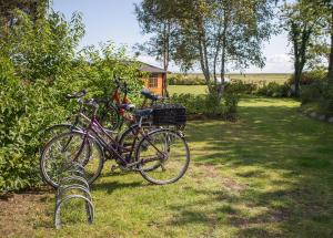 Haus Pesel - Abendsonne