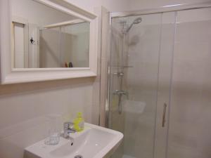 Apartments Radićeva 