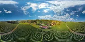 Stupnički Dvori Winery Hotel - Drenovac