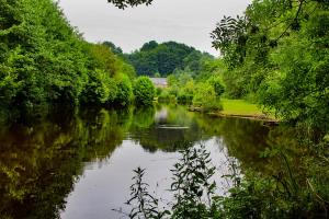 Lloyds Meadow Glamping
