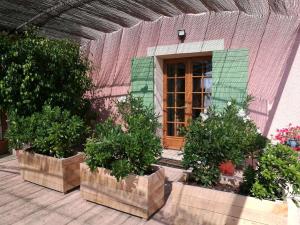 Maisons de vacances Les Petits Clements : photos des chambres