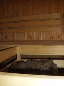 Chalets Chalet les Gentianes : photos des chambres