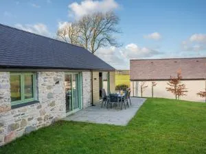 Mynydd Parys - 盖尔文