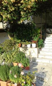 Pension Holidays Lefkada Greece