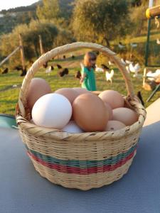Agriturismo Fattoria Di Maiano