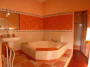 Chateau du Mazel photo 6