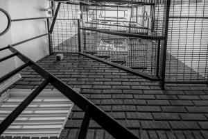 JUUB Newly Renovated cozy Studio @ La Roma