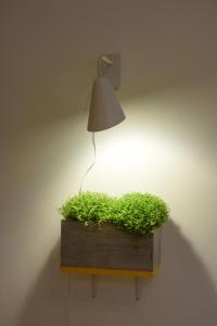 Red and Yellow Apartment Modern