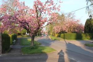The Old Post Office pretty village 20min from York