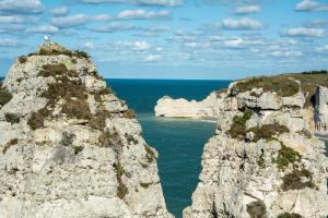 Appartements Les charmes Du Bosquet Parc d'Amour et Nature Parking Prive Securise : photos des chambres