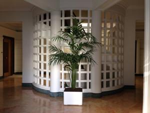 Appartements Centre, deux pieces, calme, terrasse plein sud : photos des chambres