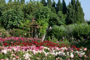 B&B / Chambres d'hotes MAS DES FIGUES - Mas XVIIIe tres calme - Certifie Biologique FRBio10 - jardin naturel ecologique - piscine 12x6 - Copieux brunch paysan mediterraneen cuisine du jardin huile d'olive - Agritourisme Alpilles Saint Remy de Provence du 01 mai au 30 septembre : photos des chambres
