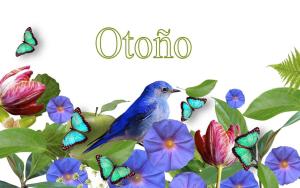 Коттедж Slow House y La caba&ntilde;a de Miss Slower Нигран Испания