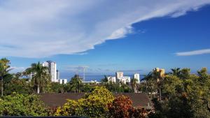 Crooked Tree Cottage