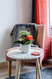 Appartements Studio centre ville avec parking : photos des chambres