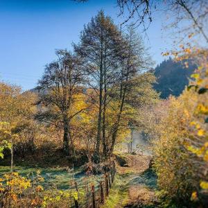 B&B / Chambres d'hotes Moulin des Borderies : photos des chambres