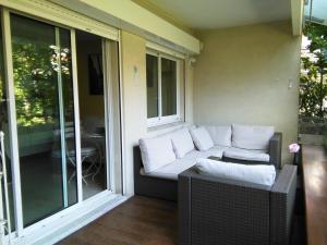 Lux Studio our swimming pool and garden