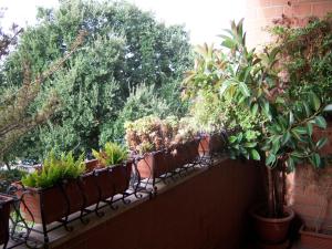 Talenti house Giubileo 2025